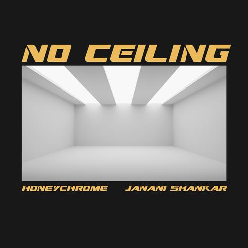 Listen To No Ceiling Songs By Janani Shankar Honeychrome