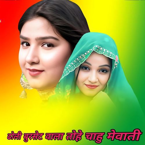 ढोली बुरसेट वाला तोहे चाहु मेवाती