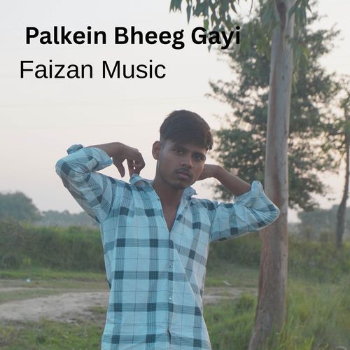 Palkein Bheeg Gayi
