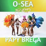 Papy Brega (Radio Edit Mix)