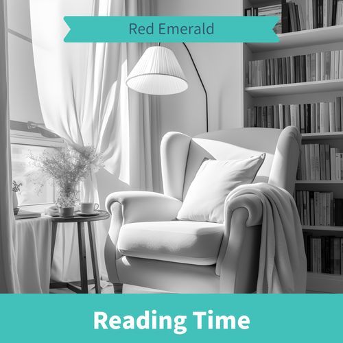 New Books in the Morning (Key A Ver.)