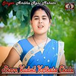 Shove Kudmi Kolkata Chala