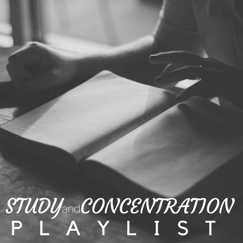 Study and Concentration Playlist - Find Focus and Concentrate with Nature Sounds