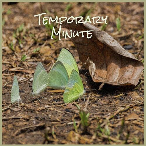 Altimetry Ancora cover art