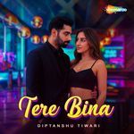 Tere Bina