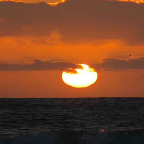 The sails are sinking (feat. Jobi)