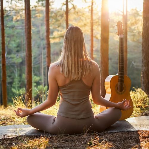 Twilight Meditation: Evening Guitar by the Meadow_poster_image