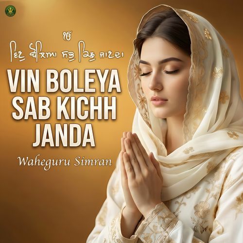 Vin Boleya Sab Kichh Janda