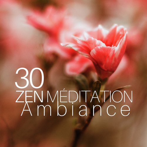 Zen Méditation Ambiance cover art