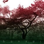 bonzai artwork