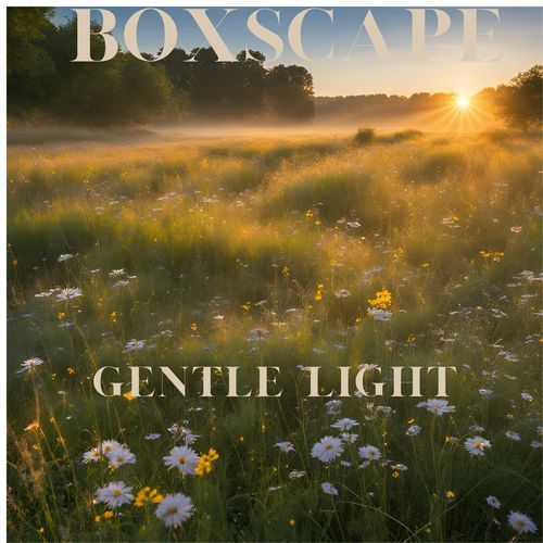 gentle light (gente light)