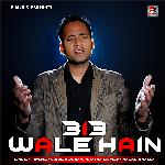 313 Wale Hain