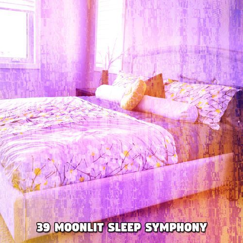 39 Moonlit Sleep Symphony