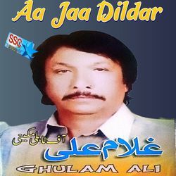 Aa Jaa Dildar studio version
