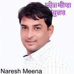 नरेश मीणा चुनाव