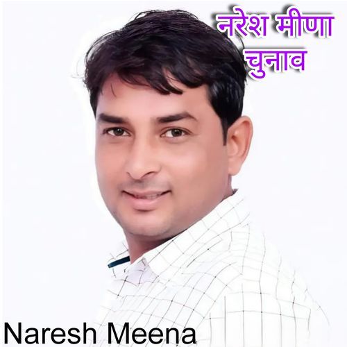 नरेश मीणा चुनाव