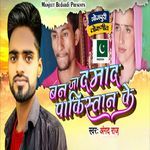 Ban Ja Damad Pakistan Ke
