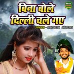 Bina Bole Delhi Chale Gaye