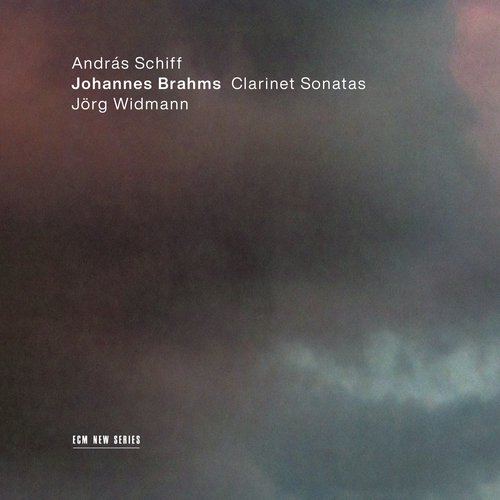 Brahms: Sonata for Clarinet and Piano No. 2 in E Flat Major, Op. 120 No. 2: 3. Andante con moto - Allegro_poster_image