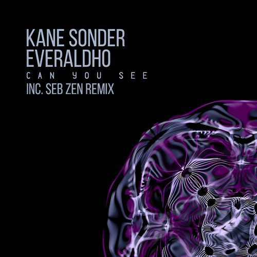 Can You See (Seb Zen Remix) cover art