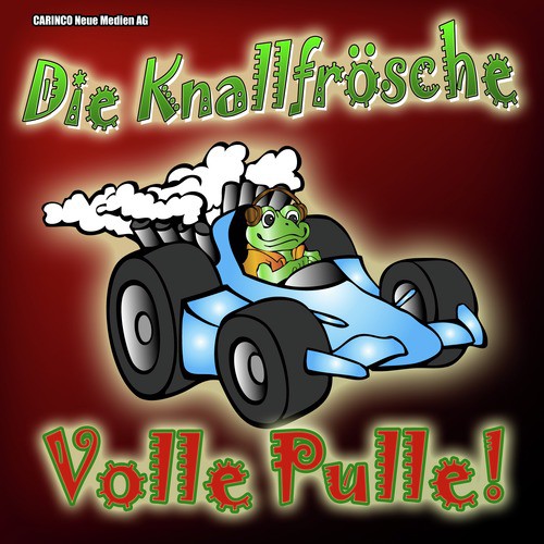 Die Vogelscheuche Esmeralda cover art