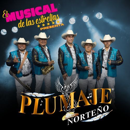 Por Las Calles de Chihuahua cover art