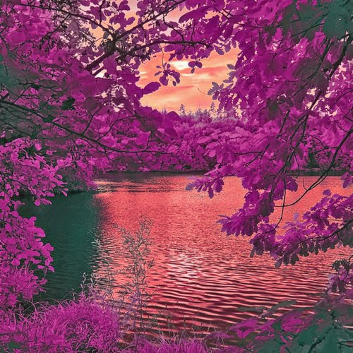 Vernon cover art