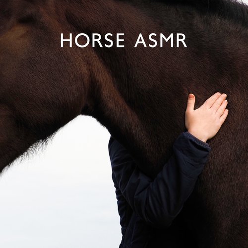 Horse ASMR for Relaxation: Children's Therapy