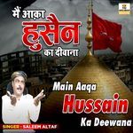 Main Aaqa Hussain Ka Deewana