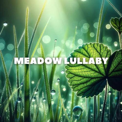 Meadow Lullaby: Drift Away to the Rhythm of Rain_poster_image