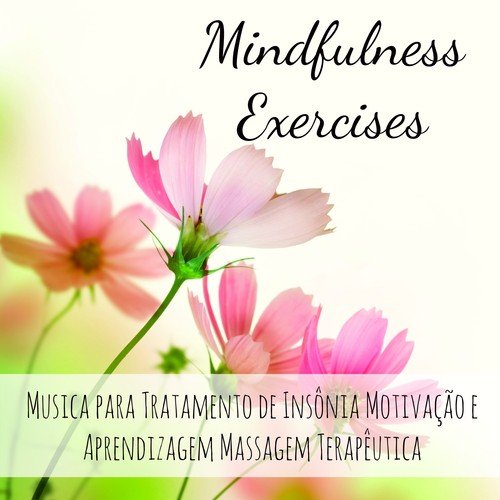 Mindfulness Exercises - Musica para Tratamento de Insônia Motivação e Aprendizagem Massagem Terapêutica con Sons New Age Instrumentais
