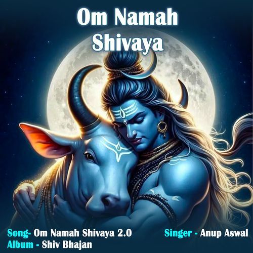 Om Namah Shivaya 2.0
