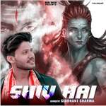 Shiv Hai