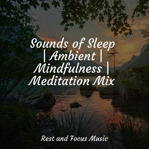 Sounds of Sleep | Ambient | Mindfulness | Meditation Mix