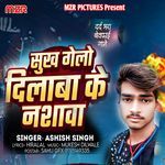 Sukh Gelo Dilawa Ke Nashawa