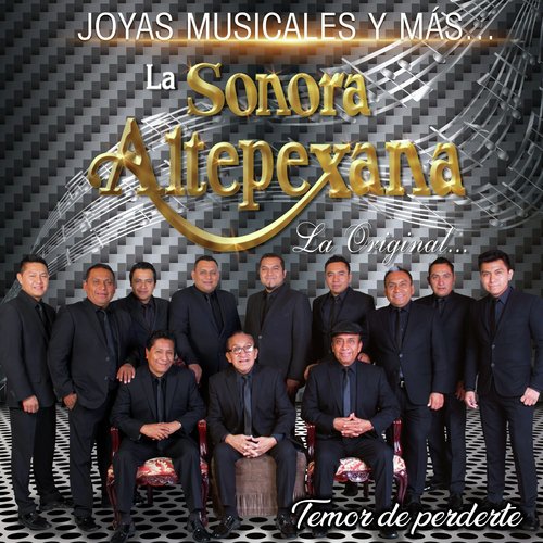 Temor de Perderte (Joyas Musicales y Más)_poster_image