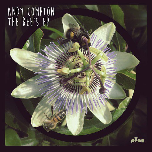 Andy Compton