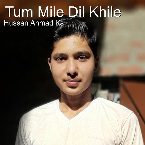 Tum Mile Dil Khile_poster_image