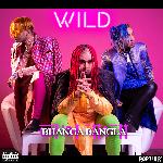 Wild - Single