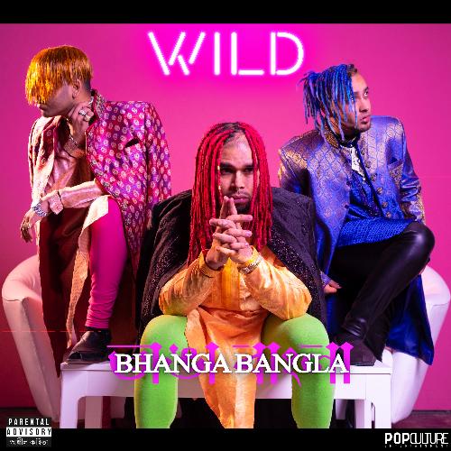 Wild - Single_poster_image