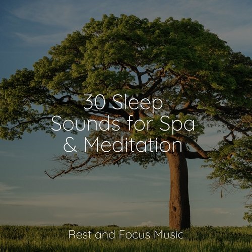 30 Sleep Sounds for Spa & Meditation