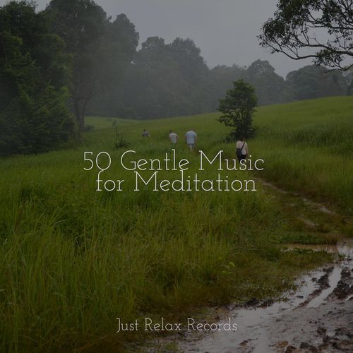 50 Gentle Music for Meditation_poster_image