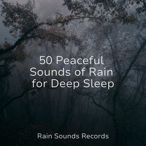 50 Peaceful Sounds of Rain for Deep Sleep