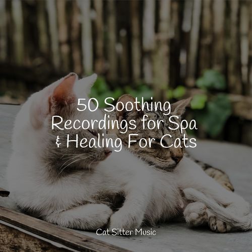 50 Soothing Recordings for Spa & Healing For Cats