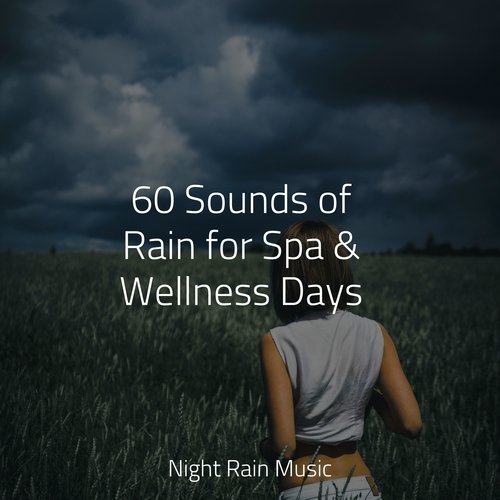 60 Sounds of Rain for Spa & Wellness Days