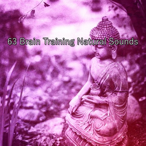 63 Brain Training Natural Sounds