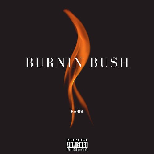 Burnin Bush_poster_image