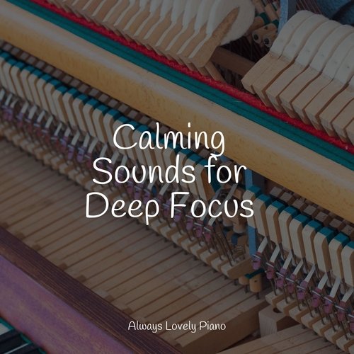 Calming Sounds for Deep Focus