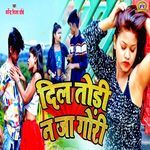 Dil Todi Na Ja Gori