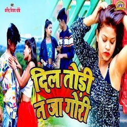 Dil Todi Na Ja Gori